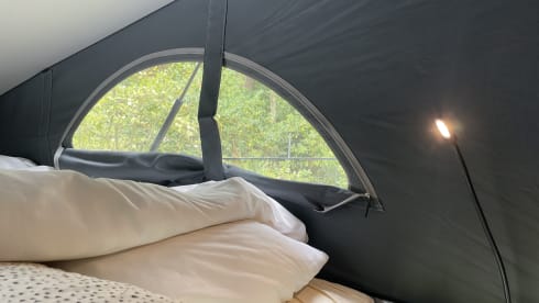 Birdy – New 2022 VW California Coast