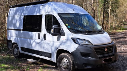 2p Fiat bus from 2020