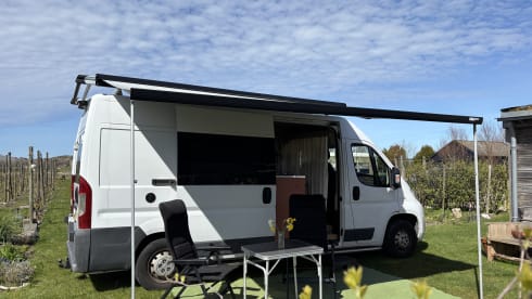 OnTour – 3-seater Fiat bus from 2015