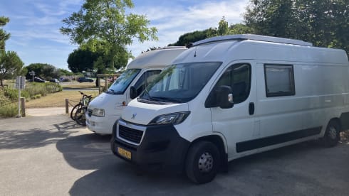 Meijpol bus – Bus camper with lifting roof 