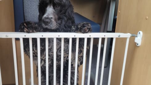 Daan – 3p Pössl bus from 2006