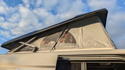 4p Benimar bus uit 2025