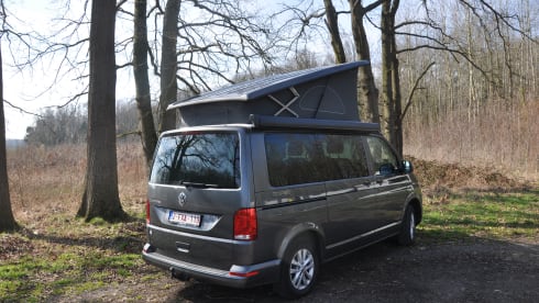 VW California Coast dal 2025 