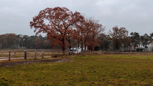 Hectorhetbusje – 2p Chausson Bus camper from 2021