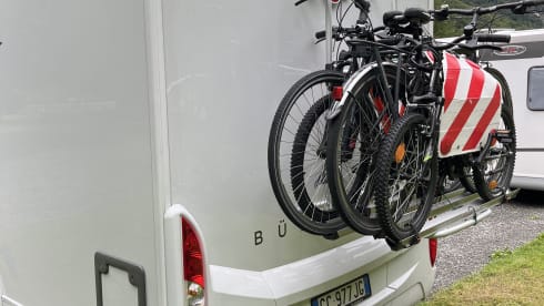 Mik – Bustner Delfin