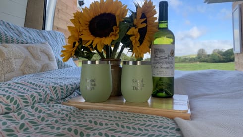 Dallas – Meet Dallas our much loved camper! 