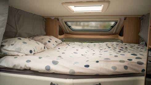 Sunny – 5p Sunlight halbintegriert ab 2020