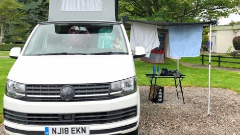 Petunia – Petunia the Campervan