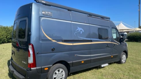 WAVE RIDER – DOLPHIN C 621