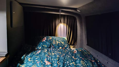 Baz – 4 berth Volkswagen campervan from 2019