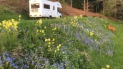 Motorhome Hire North East
