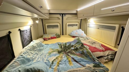 Scotty der Große  – Scotty für den besonderen Roadtrip