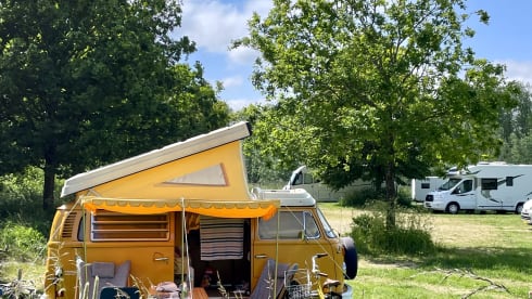 Ga op duurzame roadtrip met Calandria! ⚡️🚐 – 100% Electric! ⚡️ VW T2 "Calandria"