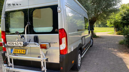 2-person Peugeot campervan from 2019