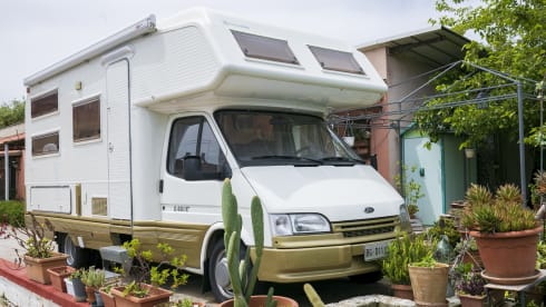 Sangria – Walking with Sangria!