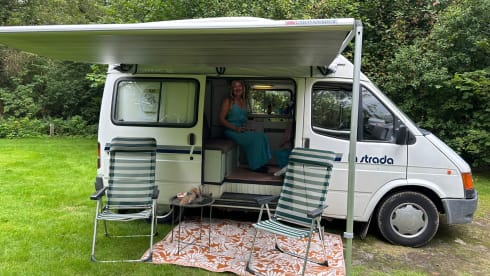 Bertha β 3p Ford bus from 1992