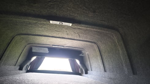 Freedom Kamper – Volkswagen campervan met 4 slaapplaatsen vanaf 2023