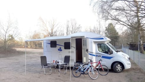 Willie – The Normal One