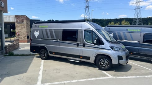 CVE 640 – 2p Carado bus uit 2025