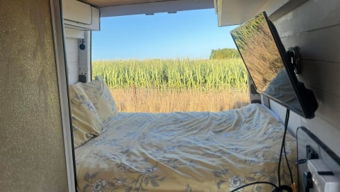 Vicki the Vdub – 2 berth Volkswagen bus from 2016