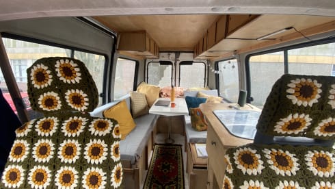 Francis de camperbus – 2p Fiat campervan from 2002