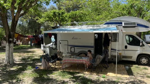 Billy  – Fiat Alcove 4 places à partir de 2026