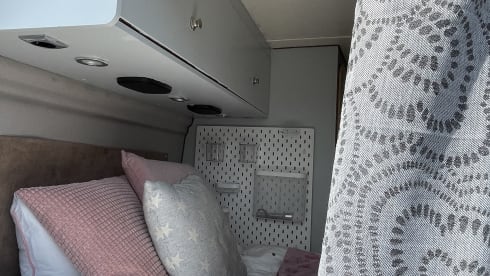 GINNY – small but has everything