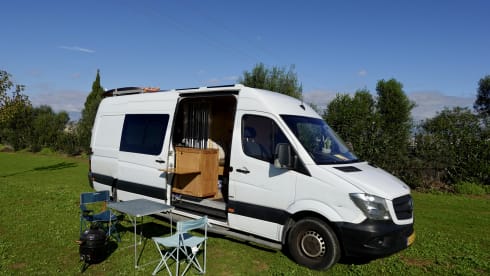 Siobvan – 2p Mercedes-Benz bus from 2014