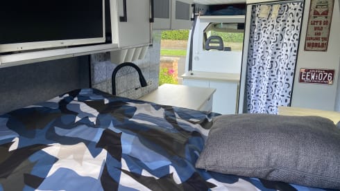 White Shark  – Wild Camper