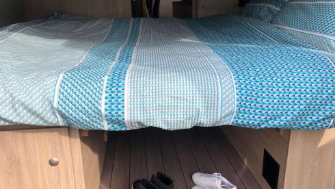 Alpine I -  Carabus 600K Campervan
