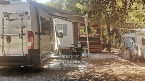 Klaus – Peugeot Waldi camp 540