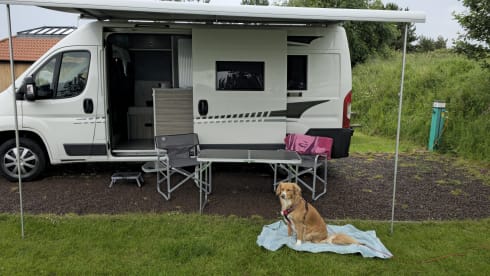 The Rina – 2 Berth Campervan - pet friendly