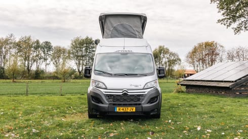 Fijnja – Luxury 4 pers. Pössl bus camper with sleeping lifting roof from 2019