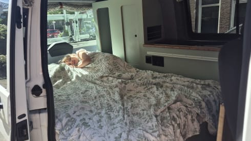 Billy – 4p Volkswagen campervan uit 2016