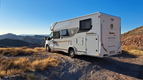 Benimar Cocoon 463 – 4p Benimar semi-integrated uit 2022