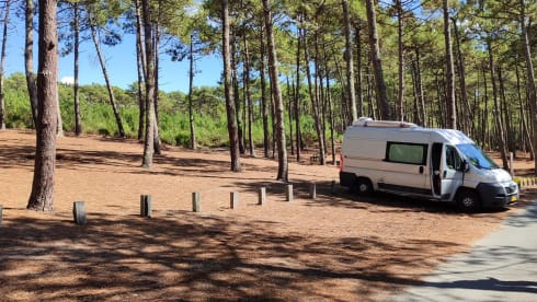 Zelfbouw Surfbus met charme en privacy