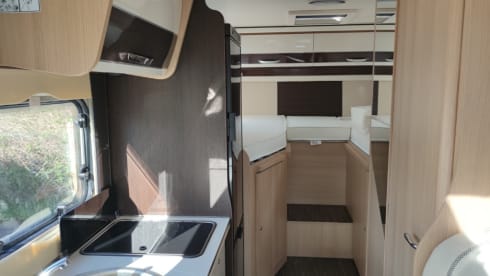 MC4 - 239 – MCLOUIS MC4 331