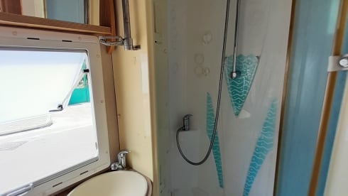 Go free for an alternative vacation