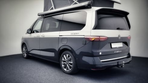 Roadie – New California Ocean 2025 4p