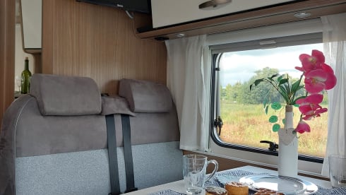grijs – 2p Carado semi-integrated from 2022