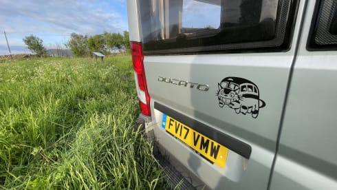 The Catbus  – 4 Berth Swift Select 184 (2017)