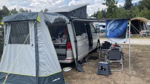 Apollo – 4p Volkswagen campervan from 2022
