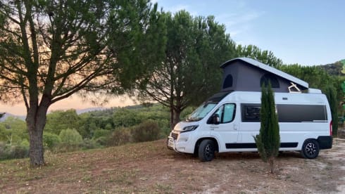 Dreamer – Dreamer D55 UP: pop-up roof, 4 beds, private bathroom and shower!