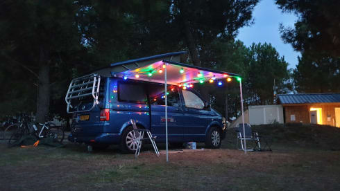Blauw – Volkswagen T5 California Bus camper with pop-up roof.