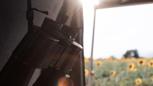 Sol –  T4 Volkswagen Westfalia California & positive vibes