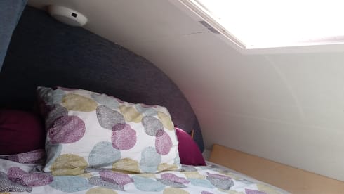 PERFETTO COMPAGNO DI VIAGGIO