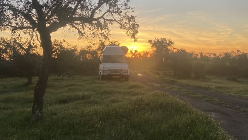 Fritsy – 2p Fiat bus uit 1991