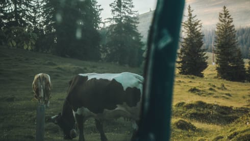 Charly – Freedom on 4 wheels