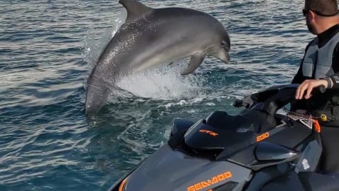 "Barney" –  Tour the coast and country in style 