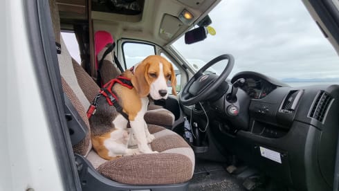 Bob – 4 berth Swift Escape 664 - Dog Friendly